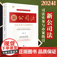 2024新版 新公司法司法实务与办案指引 云闯著 法律出版社