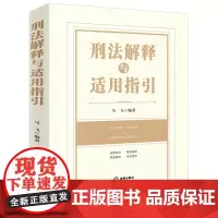 2023新书 刑法解释与适用指引 马飞 编著 法律条文 相关规定 权威案例 专家观点 刑法修正案十一刑事立法文件 司法解