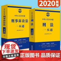 中华人民共和国刑事诉讼法一本通+刑法一本通(第七版)2020新版 中国法制出版社