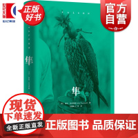 隼 海伦麦克唐纳著外国自然文学科学史作品上海人民出版社一百余幅图片详解世界上最快速动物
