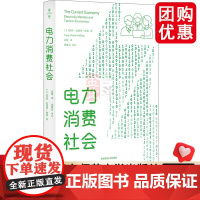 电力消费社会 薄荷实验 电力市场 插座背后的经济学 人类学民族志 华东师范大学出版社