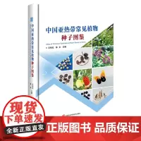 中国亚热带常见植物种子图鉴 9787511669766 王桔红 陈文 编 中国农业科学技术出版社