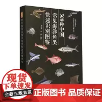500种中国常见海洋鱼类快速识别图鉴9787109321489 /中国沿海常见海洋生物大系科普丛书 中国农业出