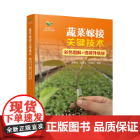 蔬菜嫁接关键技术 彩色图解+视频升级版 图书 9787122466877 裴孝伯 袁凌云 侯金锋 编