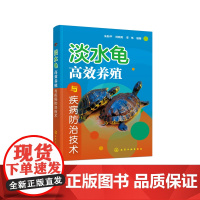 淡水龟高效养殖与疾病防治技术 高效养龟 9787122465399 朱新平 刘晓莉 李伟 编 化学工业出版社