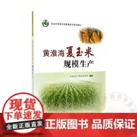 黄淮海夏玉米规模生产 9787109196919 中央农业广播电视学校 编 中国农业出版社