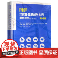 图解汉拉兽医解剖学名词(第4版)9787109323629 (精) [美] 乔戈·M.康斯坦丁内斯库 编 刘为民 陈耀星