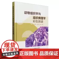 动物组织学与组织病理学彩色图谱(精) 王选年 王新华 王天有 编 9787109327283 中国农业出