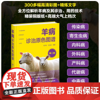 羊病诊治原色图谱(第二版)马玉忠 金东航主编9787122451538