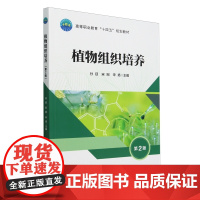 植物组织培养(第2版) 孙廷 宋刚 宋扬 编 9787565532115 中国农业大学出版社