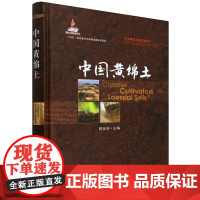 中国黄绵土(精)/中国耕地土壤论著系列 同延安 编 9787109321205 中国农业出版社