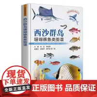 西沙群岛珊瑚礁鱼类图谱 王腾 刘永 李纯厚 肖雅元 黄晓华 编 9787109322523 中国农业出版社