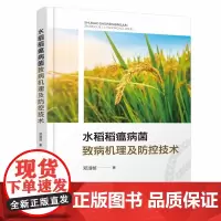 水稻稻瘟病菌致病机理及防控技术 邓淑桢 编 9787122460219 化学工业出版社