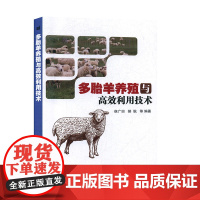 多胎羊养殖与高效利用技术 侯广田 郝耿 编 9787511644459 中国农业科学技术出版社