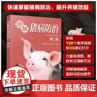 图解猪病防治(第二版) 王志远主编 近400张猪病图片153个猪病视频 猪病的鉴别诊断方法和猪场常见药物使用方法 978
