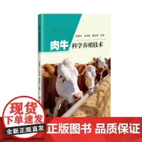 肉牛科学养殖技术 张相伦,马书林,董书伟 著 中国农业科学技术出版社9787511666147