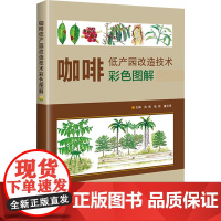 咖啡低产园改造技术彩色图解 孙燕,张昂,董云萍主编 中国农业科学技术出版社9787511666208