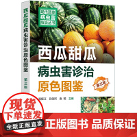 现代蔬菜病虫害防治丛书--西瓜甜瓜病虫害诊治原色图鉴(第三版)9787122450937