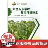 大豆玉米带状复合种植技术王应秀,张珊珊,许敬山 主编 中国农业科学技术出版社9787511667717