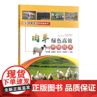 肉羊绿色高效养殖技术 刘巧霞,程俐芬等编著 视频图文养羊技术 9787109308374