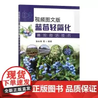 视频图文版蓝莓轻简化高效栽培技术 蓝莓栽培技术图谱视频指导9787109317178
