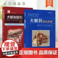 全新正版 套装 2本犬解剖填色图谱 犬解剖指引 第8版 9787565518225 犬猫解剖 小动物解剖指引 动物解剖书