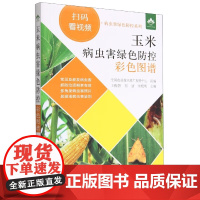玉米病虫害绿色防控彩色图谱 王振营,石洁,朱晓明 编 中国农业出版社9787109300491