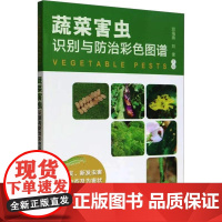 蔬菜害虫识别与防治彩色图谱 邱海燕,刘奎 著 中国农业出版社9787109309555