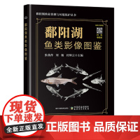 鄱阳湖鱼类影像图鉴 (精) 张燕萍,刘杨,付辉云 编 中国农业出版社9787109314245