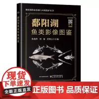 鄱阳湖鱼类影像图鉴 (精) 张燕萍,刘杨,付辉云 编 中国农业出版社9787109314245