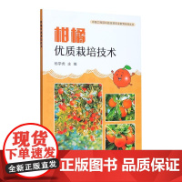 柑橘优质栽培技术 杨学虎 编 中国农业出版社9787109278417