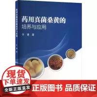 药用真菌桑黄的培养与应用 许谦 编 9787511661999 中国农业科学技术出版社