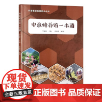 中意蜂养殖一本通 9787109319561科普惠农实用技术丛书 中国农业出版社