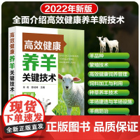 高效健康养羊关键技术(第二版) 朱奇 陈峙峰主编 9787122403896 图文视频解说高效养羊技术手册