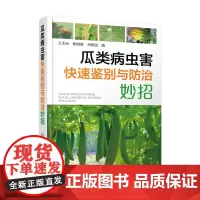 瓜类病虫害快速鉴别与防治妙招 9787122450647 王天元 鲍继胜 肖希田 编 化学工业出版社