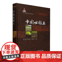 中国水稻土 孙波 编 9787109321199 中国农业出版社