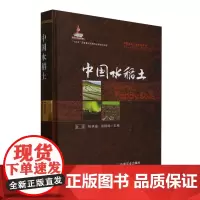 中国水稻土 孙波 编 9787109321199 中国农业出版社