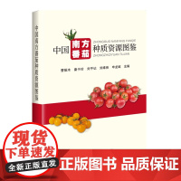 中国南方番茄种质资源图鉴 曹振木主编 9787511669964 中国农业科学技术出版社