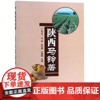 陕西马铃薯 陈占飞 常勇 任亚梅 刘康懿 编 9787511636676 中国农业科学技术出版社