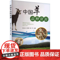 中国羊品种资源 申小云,汪代华,周平 编 中国农业出版社9787109309609