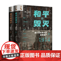 和平的毁灭 第一次世界大战及其遗产 戴维·史蒂文森 著 历史