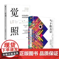 觉照+当下的力量 杰夫·卡普等 著 励志与成功