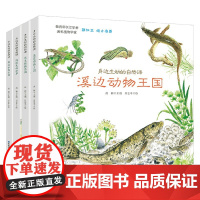 身边生动的自然课 水 高颖 著 科普