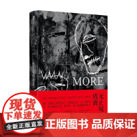 无止境的逃离 哈坎·甘迪 著 小说