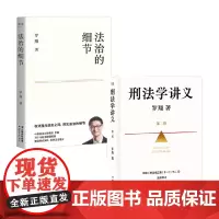 刑法学讲义+法治的细节 罗翔 著 法律