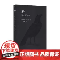 动物肖像 鸦 科德·里希尔曼 著 科普读物