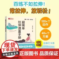 超简单拉伸速查手册 人人都可以找回身体松弛感 王雄 著 运动健身