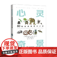 心灵奇景 80幅画描绘意识之谜 西蒙娜·金斯伯格等 著 励志与成功