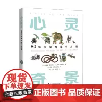 心灵奇景 80幅画描绘意识之谜 西蒙娜·金斯伯格等 著 励志与成功