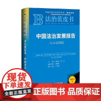 中国法治发展报告 No.23 2025 莫纪宏等 著 法律